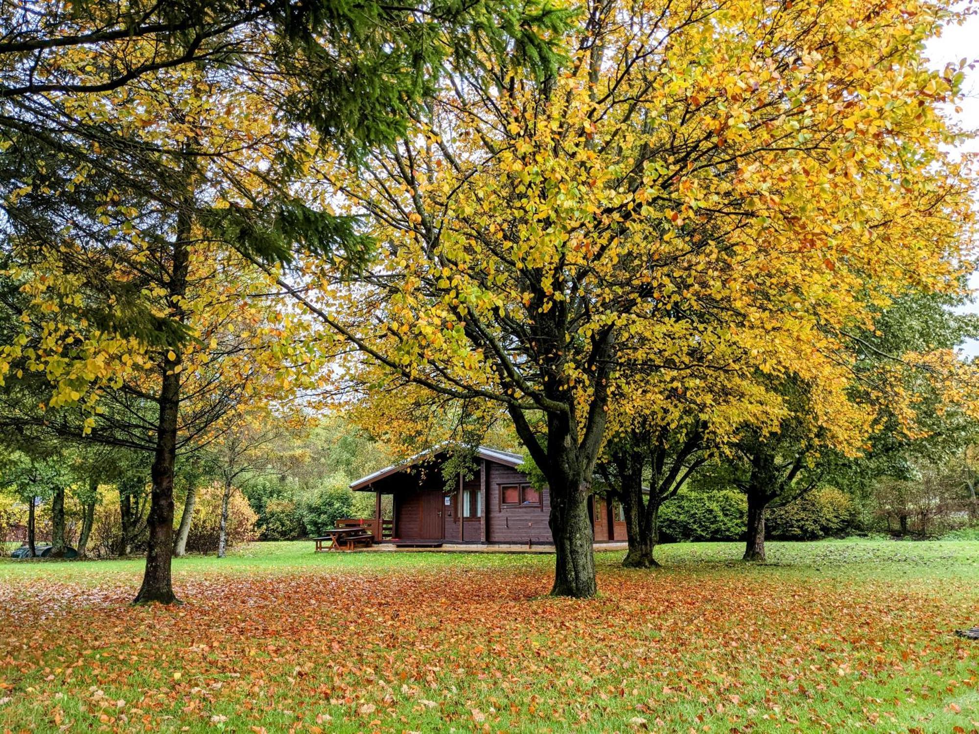 Pinecroft Lodges Ingleton  Exterior photo